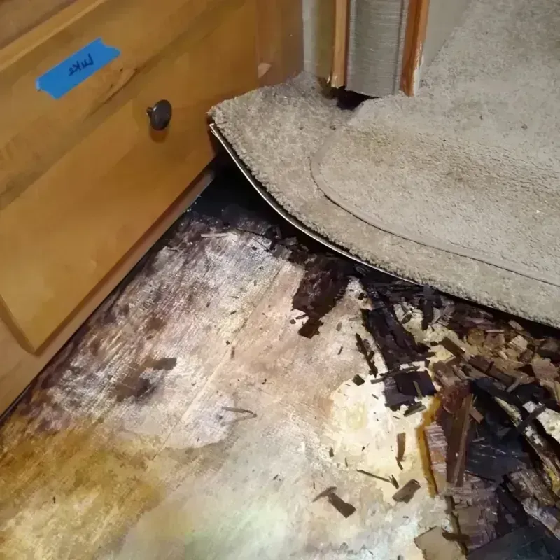 Best Wood Floor Water Damage Service in Rehobeth, AL